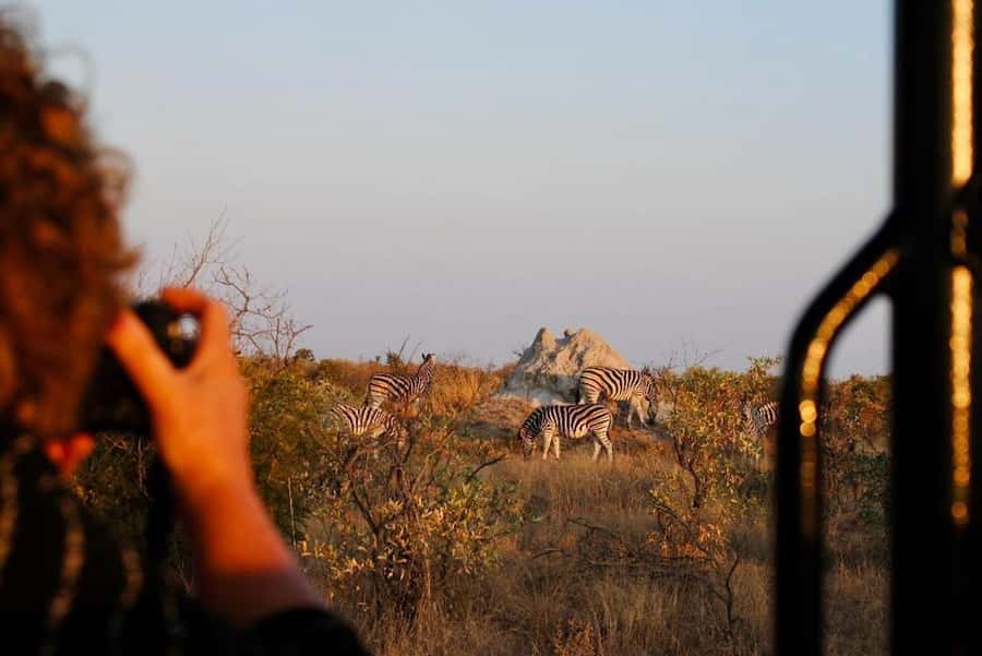 Hoedspruit: Full Day in ICONIC Kruger National Park - A very long day from Hoedspruit
