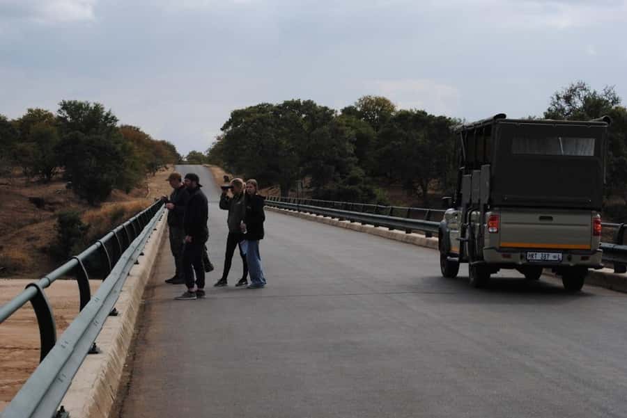 Hoedspruit: Full Day in ICONIC Kruger National Park - Group size, guide style, and service