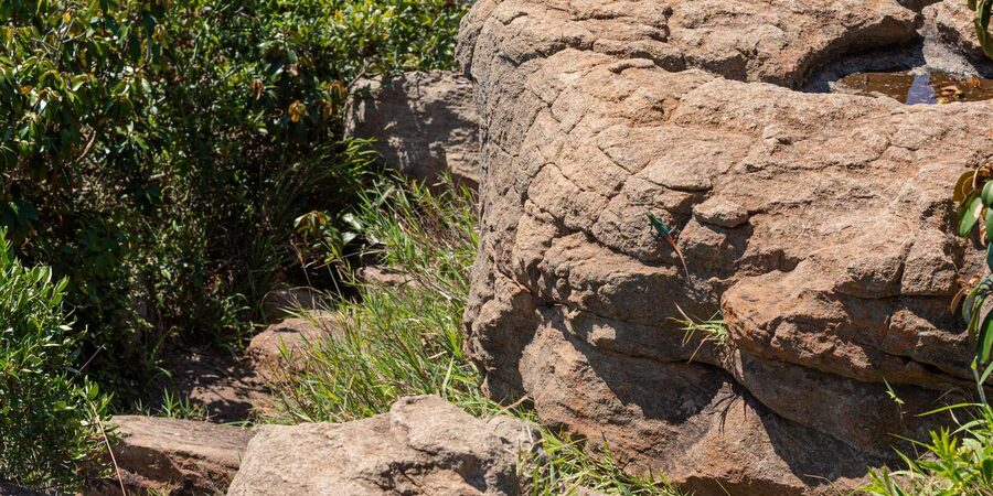 Hoedspruit: Panoroma Route Private Day Tour to Blyde Canyon - Graskop Gorge and the Afromontane forest option