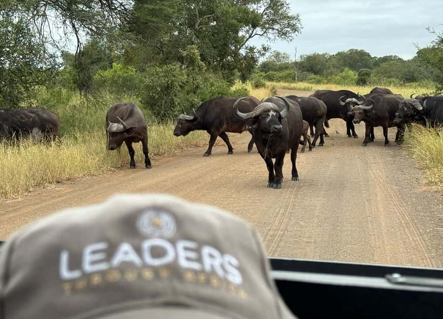 Hoedspruit: Private Kruger National Park Full-Day Safari - Morning coffee, biscuits, and a hot pack
