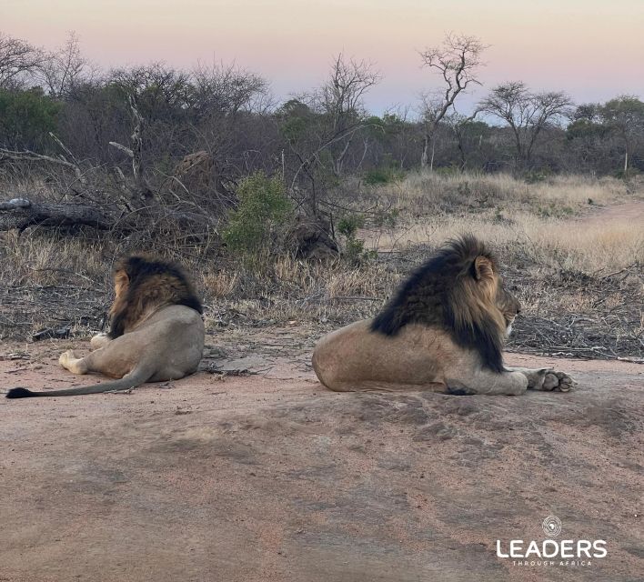 Hoedspruit: Private Kruger National Park Full-Day Safari - Guides who add more than animal names