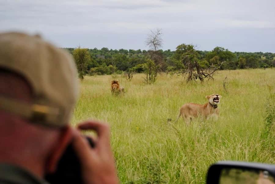 Hoedspruit: Sunrise Safari in Greater Kruger Private Reserve - Key points to know before booking