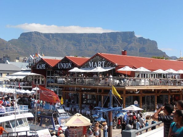 Hop-On Hop-Off Cape Town Canal Cruise - Five useful things to know before you board