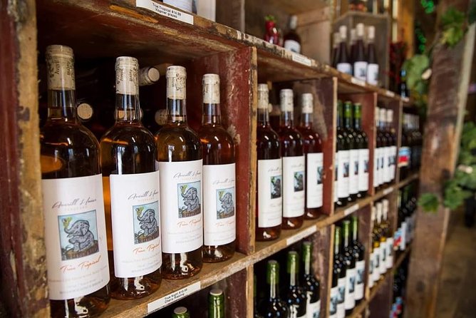 Horseback Riding and Wine Tours - What the horseback ride is really like