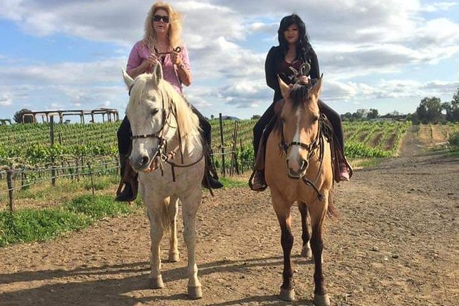 Horseback Riding and Wine Tours - Guides, horses, and the human side of the day