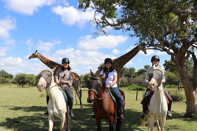 Horseback Safari Adventure in Hartbeespoort from Johannesburg - A 7:00 am start from Johannesburg