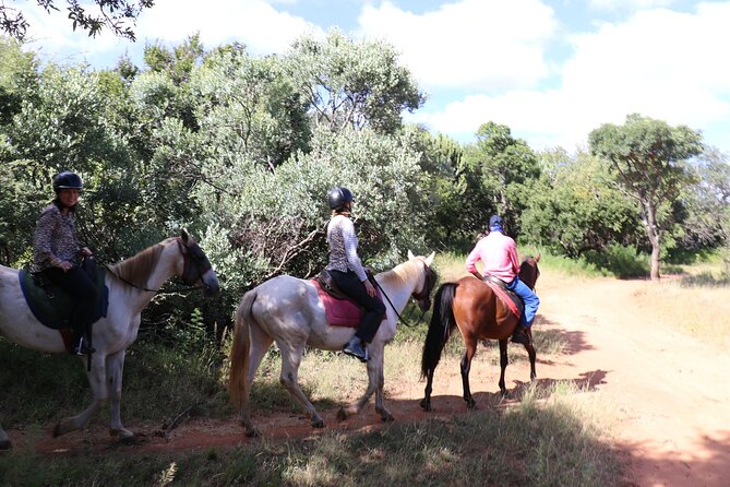 Horseback Safari Adventure in Hartbeespoort from Johannesburg - The Hartbeespoort Dam stop