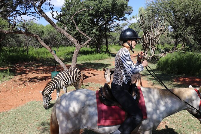 Horseback Safari Adventure in Hartbeespoort from Johannesburg - Food, comfort, and what to bring