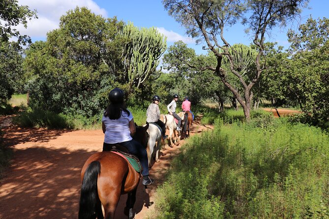 Horseback Safari Adventure in Hartbeespoort from Johannesburg - Silkaatsnek Nature Reserve and the two-hour ride