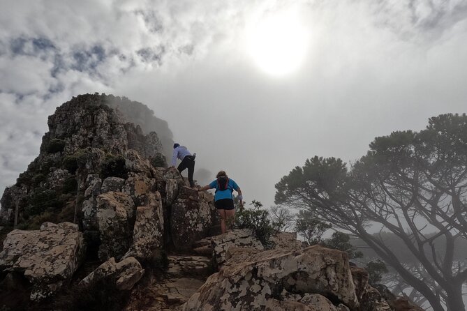 Incredible Table Mountain Guided Day Hike or Trail Run - Choosing between a walk, hike, and trail run