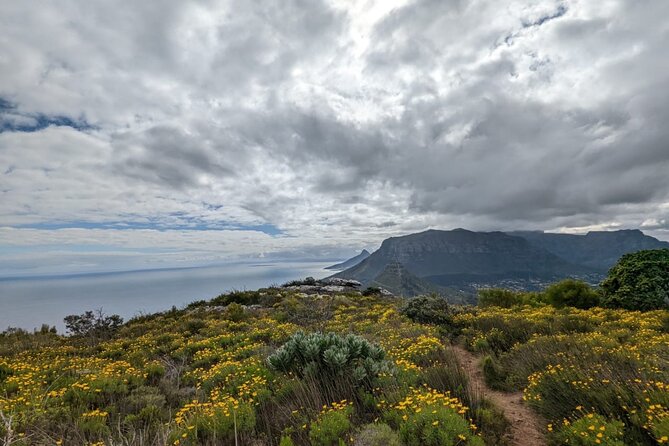 Incredible Table Mountain Guided Day Hike or Trail Run - How the guide-led format adds value