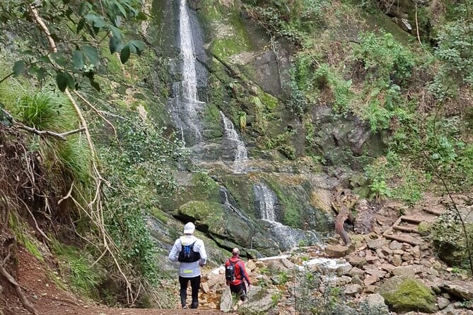 Incredible Table Mountain Guided Day Hike or Trail Run - Starting at the cableway at 8:00 a.m.
