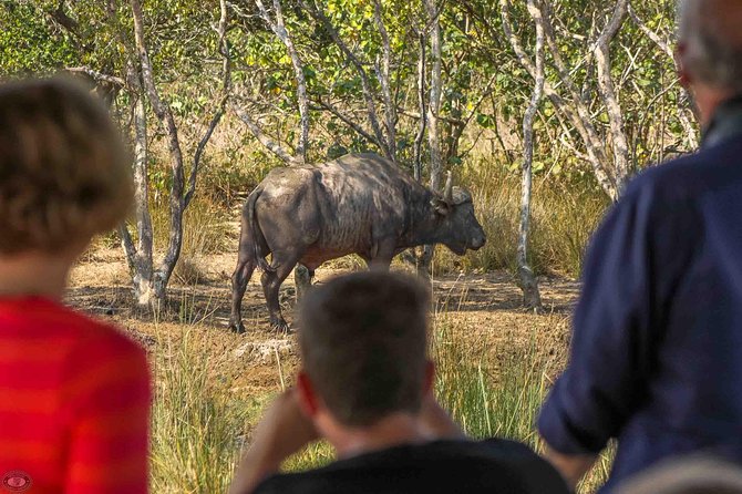 iSimangaliso Wetland Park, Full Day Tour - Game viewing on loop roads and near hides