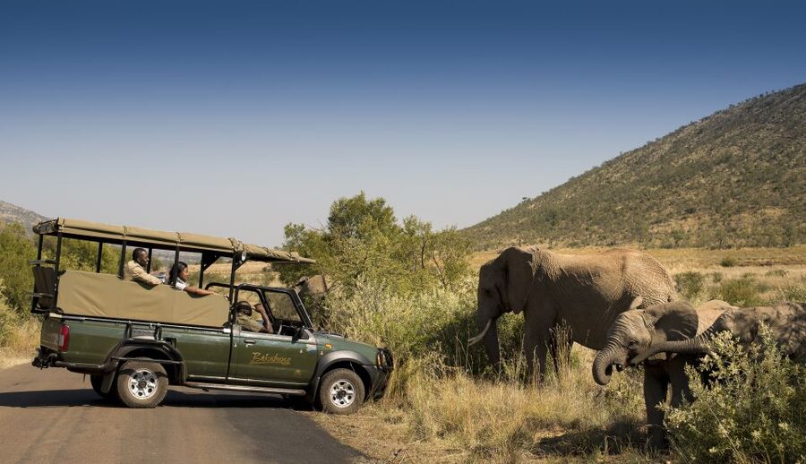 Johannesburg: 2-Day 4-Star Pilanesberg Safari - Sunrise in Pilanesberg