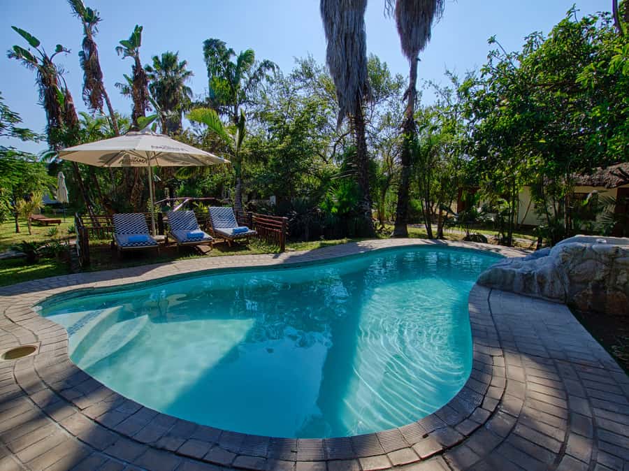 Johannesburg: 3-Day Classic Kruger National Park Safari Tour - Key points to know before booking