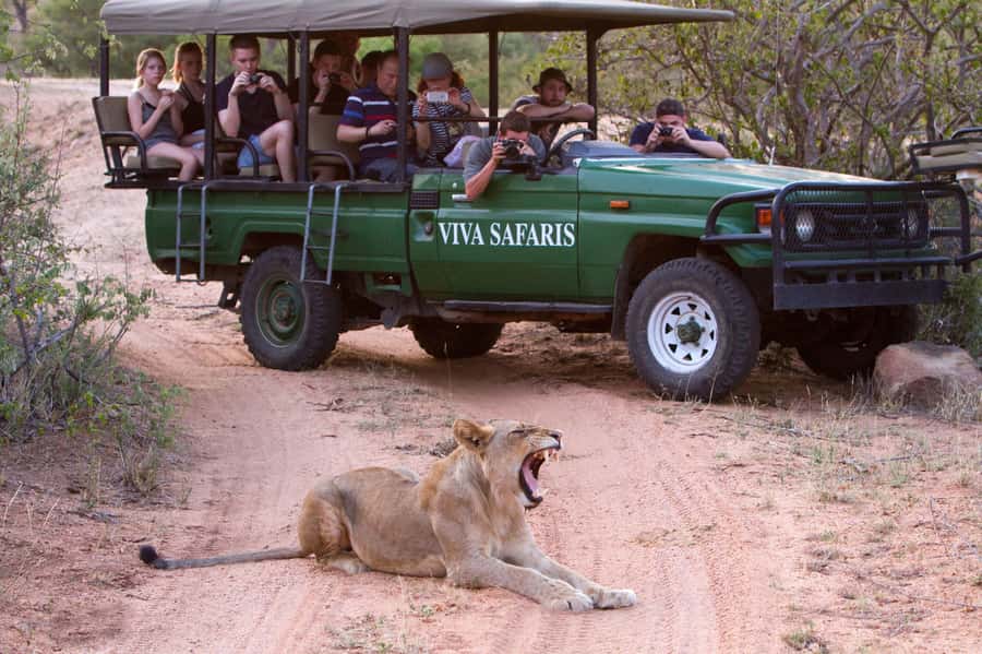 Johannesburg: 3-Day Classic Kruger National Park Safari Tour - Tremisana Game Lodge: simple rooms and a social safari base