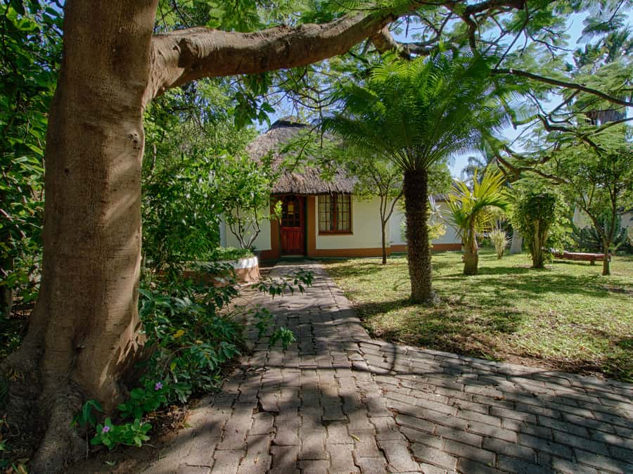 Johannesburg: 3-Day Classic Kruger National Park Safari Tour - How much wildlife can you expect?