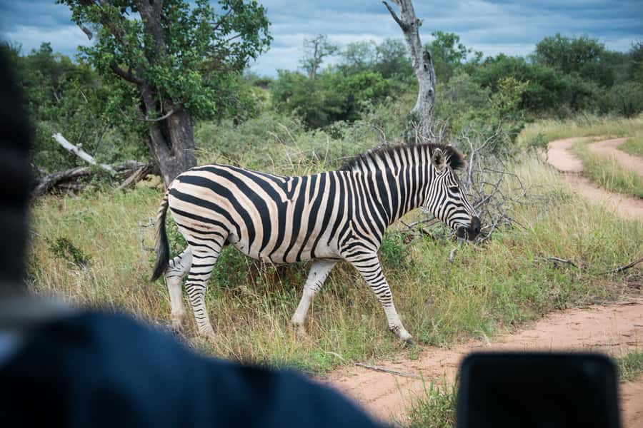 Johannesburg: 3-Day Classic Kruger National Park Safari Tour - Booking details that can make or break the trip