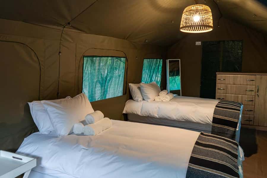 Johannesburg: 3-Day Kruger Budget Glamping Safari - Arriving at camp around 14:00