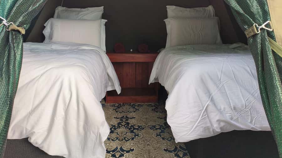 Johannesburg: 3-Day Pilanesberg Camping Adventure - Day two: Two open-air safaris and time to rest