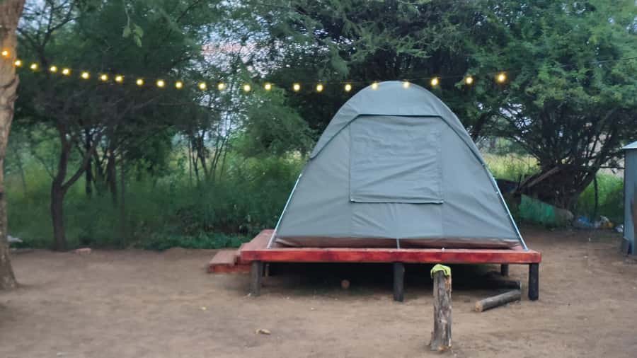 Johannesburg: 3-Day Pilanesberg Camping Adventure - Day one: Johannesburg to the first game drive