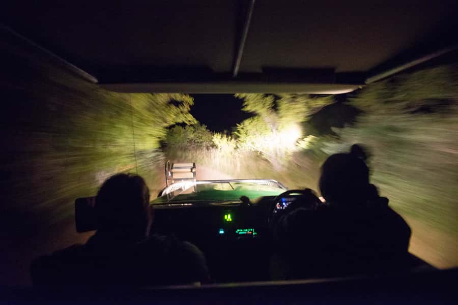 Johannesburg: 4-Day Classic Kruger National Park Safari - Day Two: Walking through Balule on foot