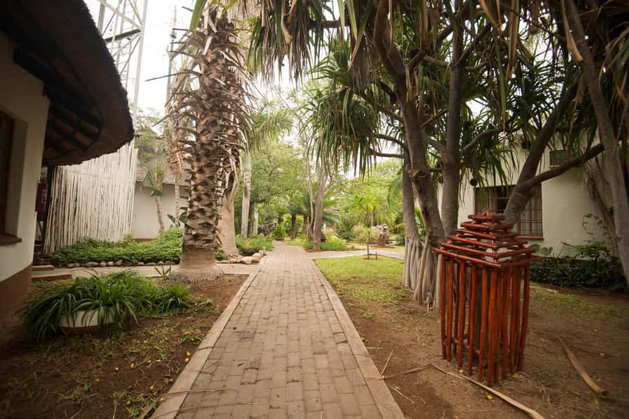 Johannesburg: 4-Day Classic Kruger National Park Safari - Day Four: Sunrise, breakfast, and Blyde River Canyon
