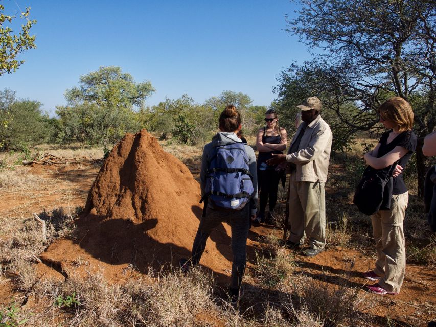 Johannesburg: 5-Day Classic Kruger National Park Safari - What this five-day safari really offers