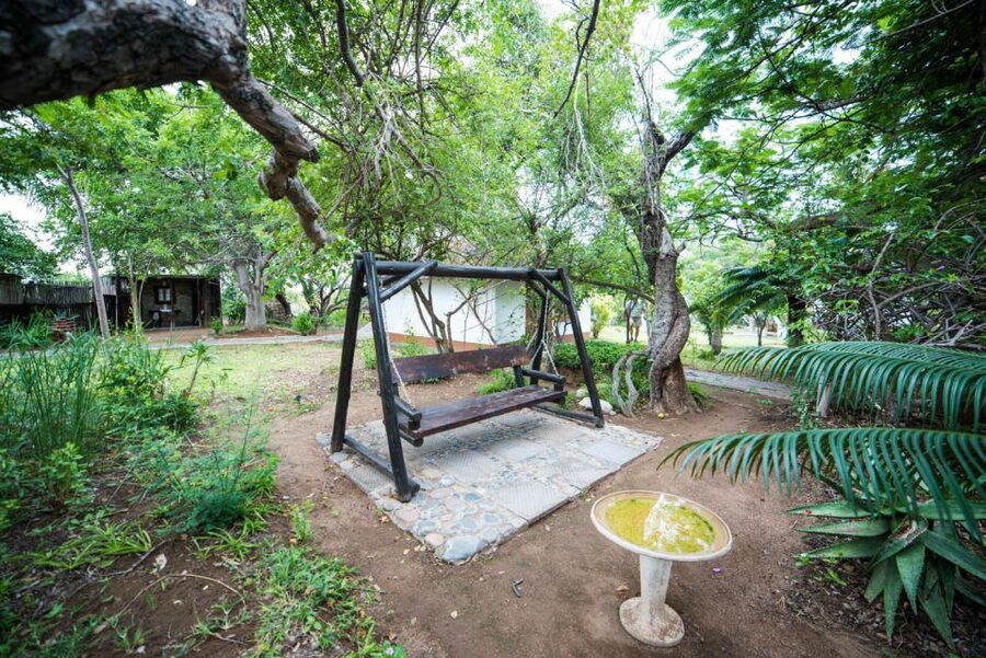 Johannesburg: 5-Day Classic Kruger National Park Safari - Days 3 and 4: Two full days in Kruger National Park