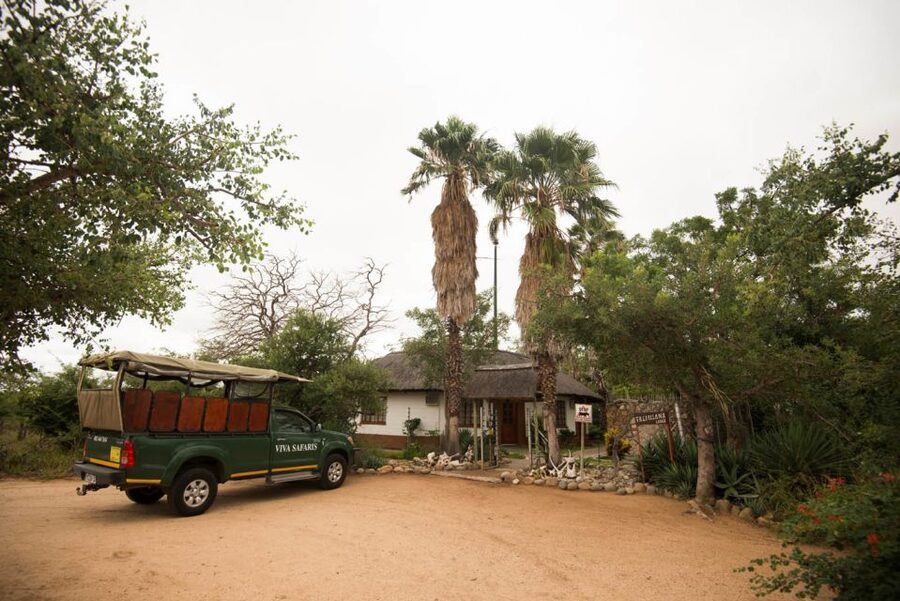 Johannesburg: 5-Day Classic Kruger National Park Safari - Day 5: Sunrise wildlife and the Panorama Route