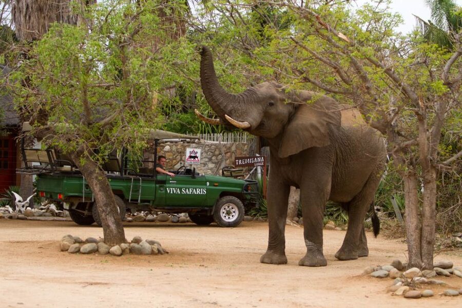 Johannesburg: 5-Day Classic Kruger National Park Safari - Who should book this safari?