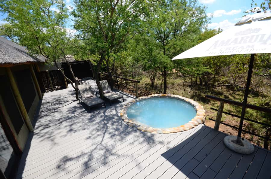 Johannesburg: 6-Day Luxury Kruger National Park Safari - Is $1,868 a good safari value?