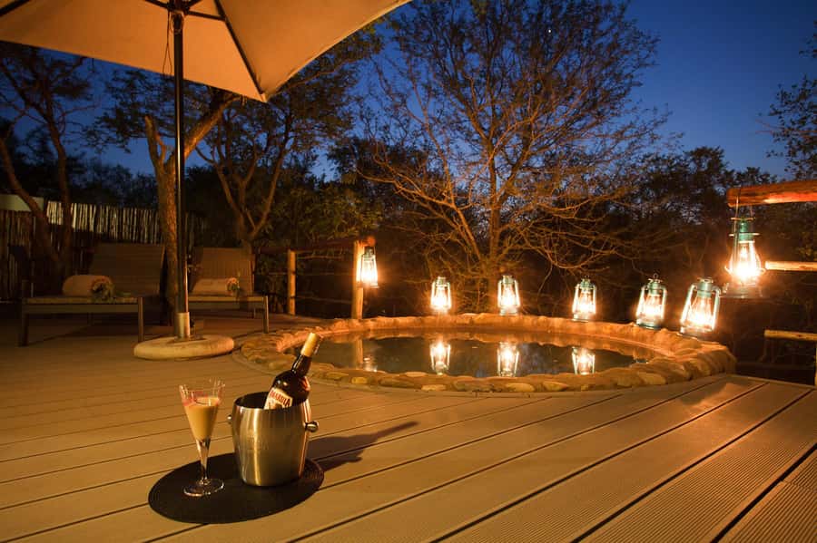 Johannesburg: 6-Day Luxury Kruger National Park Safari - Day 2: The Olifants River bush walk