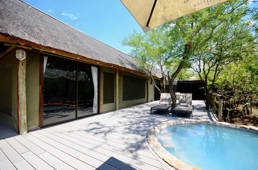Johannesburg: 6-Day Luxury Kruger National Park Safari - Day 4: Moholoholo and another Balule sunset