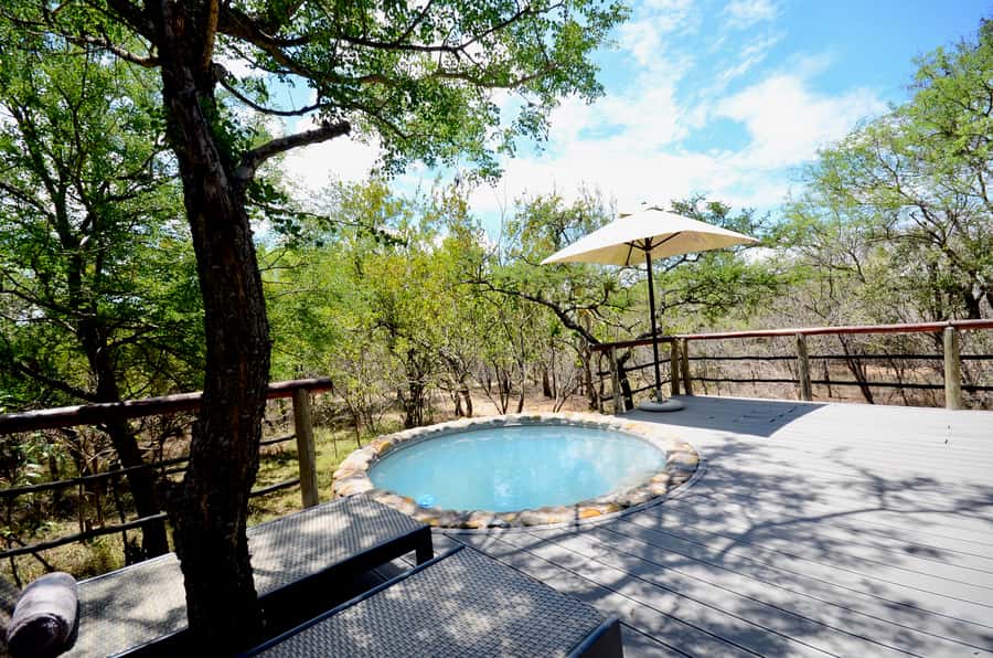 Johannesburg: 6-Day Luxury Kruger National Park Safari - Day 5: A second full day in Kruger National Park