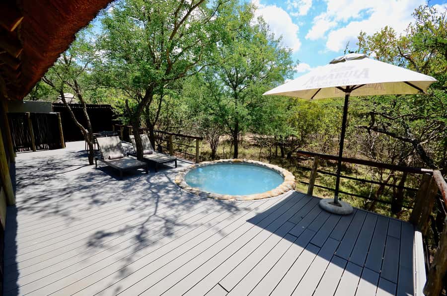 Johannesburg: 6-Day Luxury Kruger National Park Safari - Tremisana and Katekani: two different lodge experiences