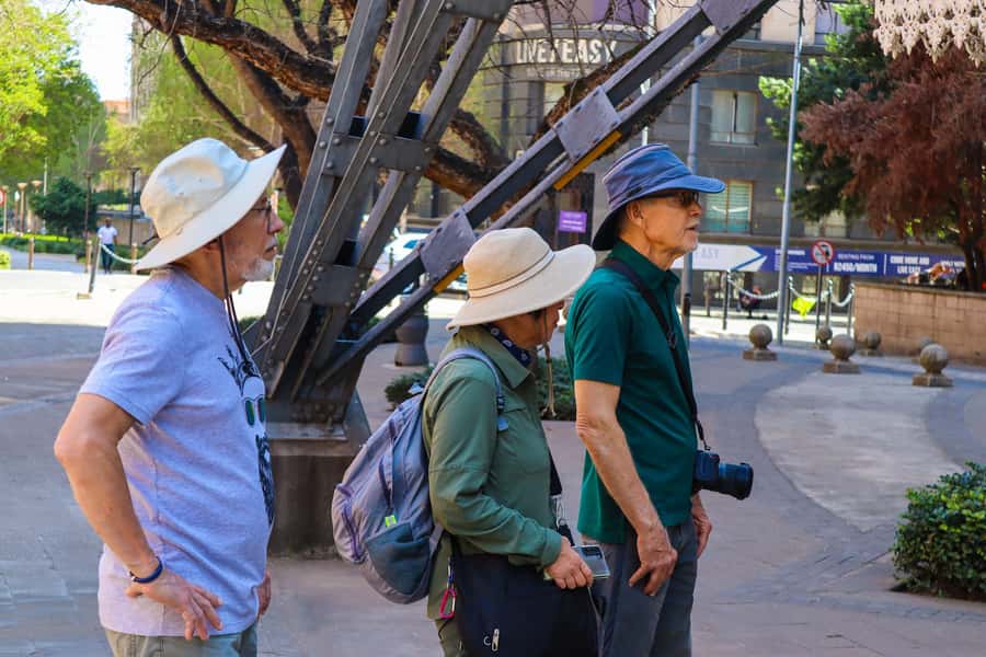 Johannesburg: Architectural Walking Tour - Key points to know before you go