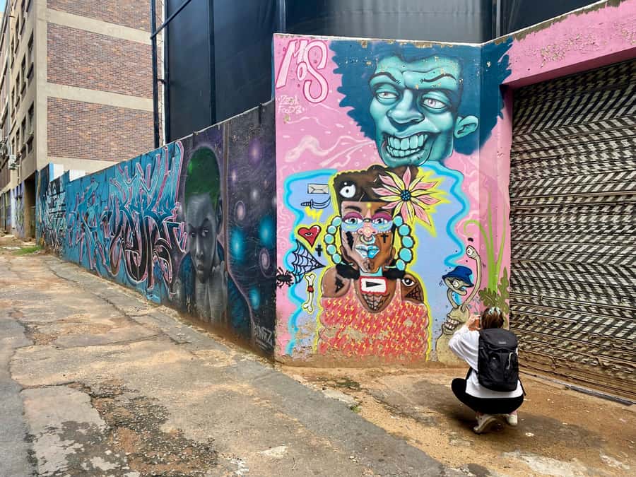 Johannesburg: Braamfontein Street Art & Culture Tour - What $37 buys you