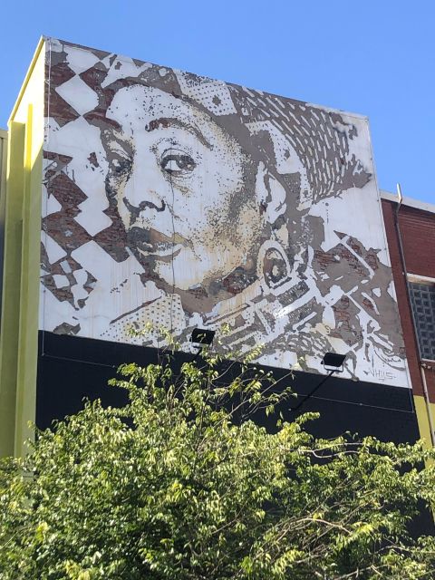 Johannesburg City Walking Excursion - Workers Compound and the laws behind labor migration