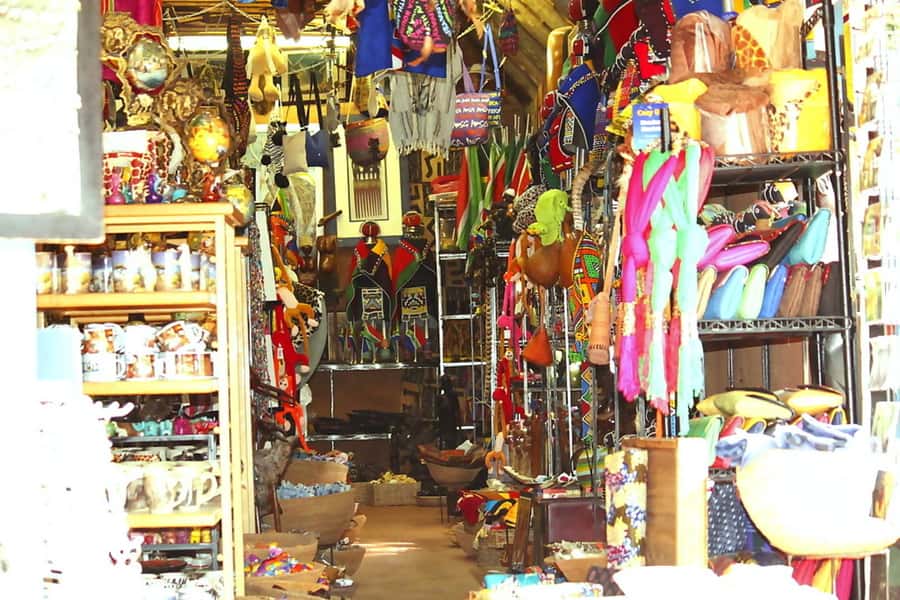 Johannesburg: Cradle of Human Kind & Lesedi Cultural Village - Key points to know before you book