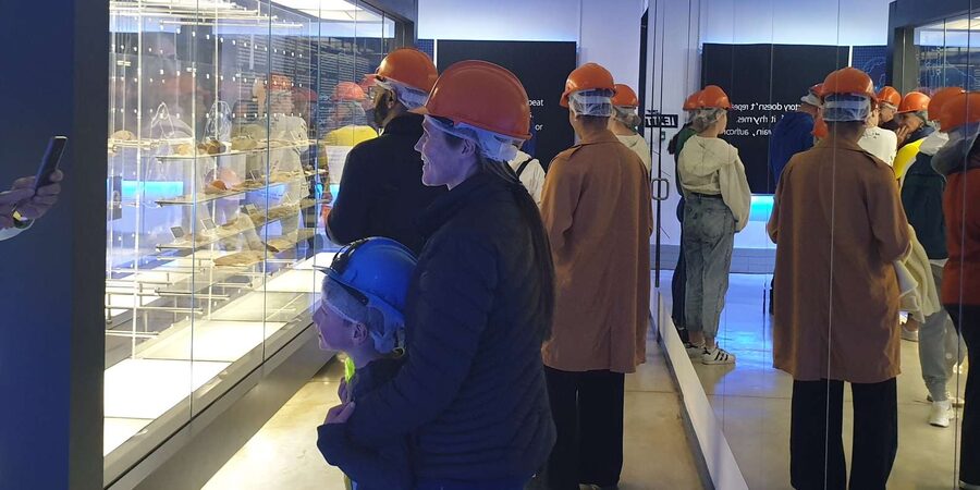 Johannesburg: Cradle of Human Kind & Lesedi Cultural Village - Transport, timing, and physical demands