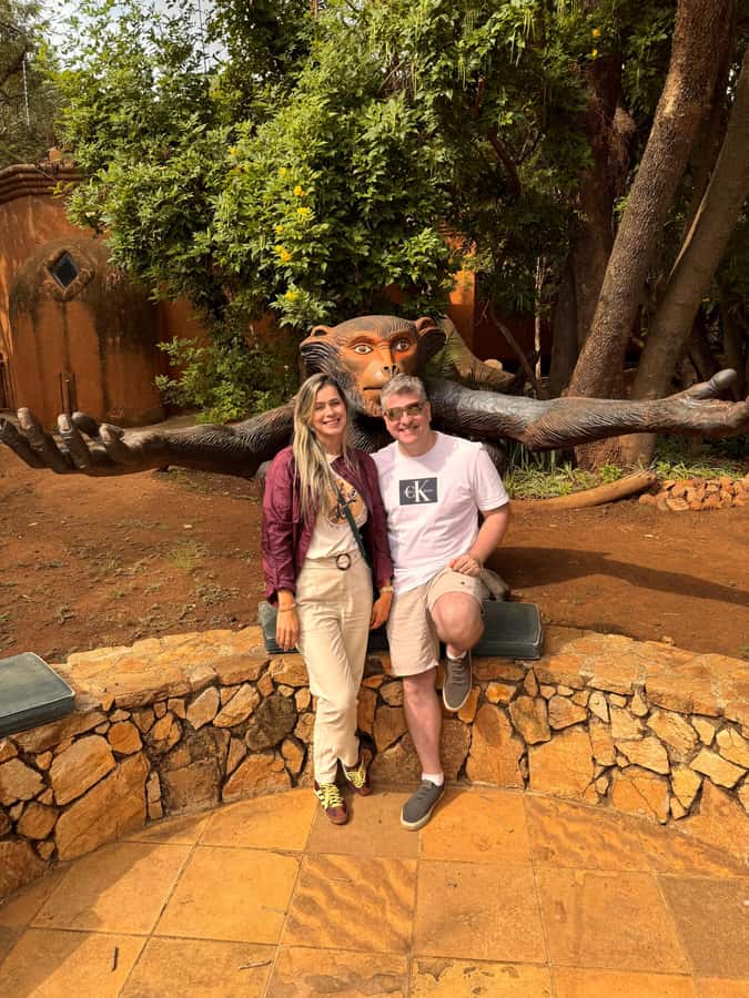 Johannesburg: Elephant and Monkey Sanctuary Half Day Tour - What the high ratings tell you