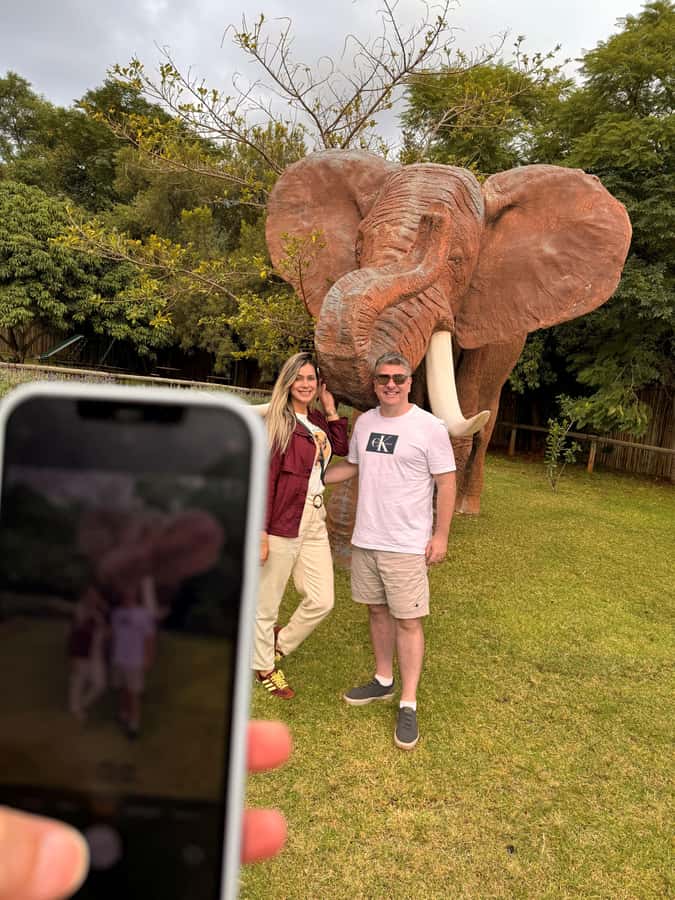 Johannesburg: Elephant and Monkey Sanctuary Half Day Tour - Feeding monkeys beside the elephant sanctuary