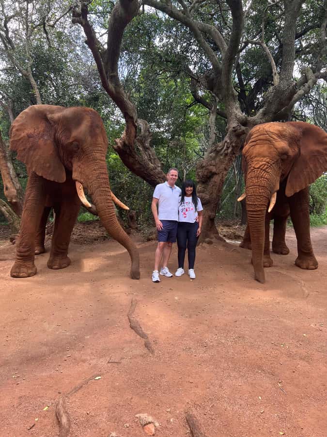 Johannesburg: Elephant and Monkey Sanctuary Half Day Tour - A closer look at the forest canopy walk