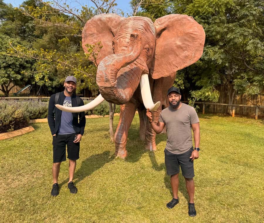 Johannesburg: Elephant and Monkey Sanctuary Half Day Tour - Is $235 per person fair value?