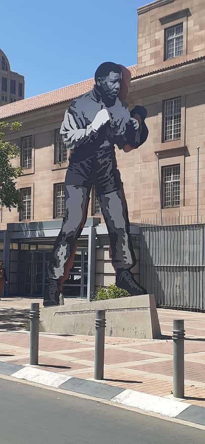Johannesburg full-day tour (Soweto/joburg&Apartheid museum) - Who should book this experience?