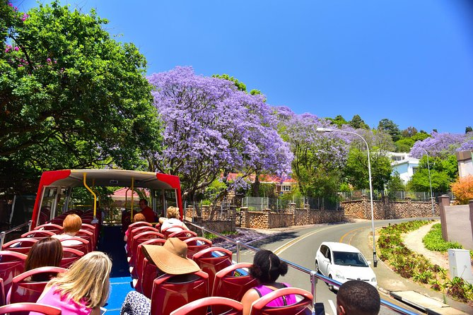 Johannesburg Hop-On Hop-Off City Tour with Soweto Option - The zoo, military museum, and Holocaust centre