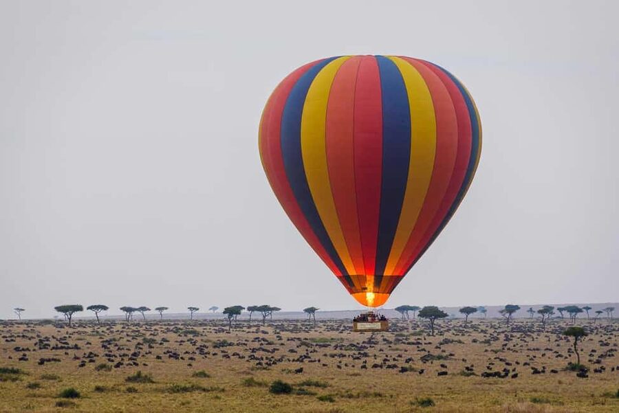 Johannesburg: Hot Air Balloon Flight - Floating above the Magaliesberg for about an hour
