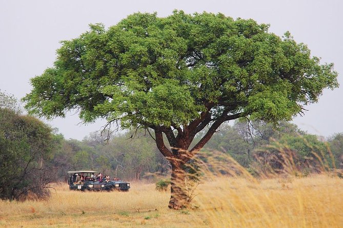 Johannesburg Like a Local: Customized Private Tour - A flexible introduction to Johannesburg