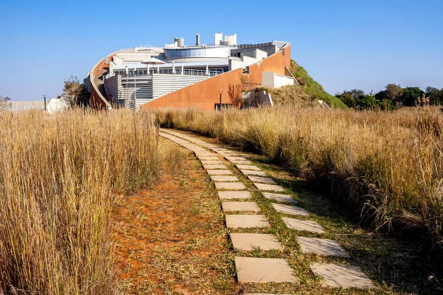 Johannesburg: Lion Park Safari and Cultural Village Tour - Key points at a glance